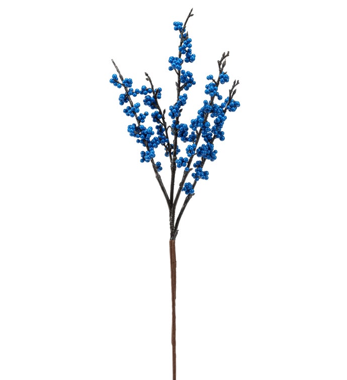 Blue Mini Berry Pick