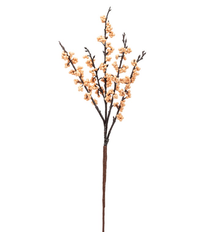 Peach Mini Berry Pick