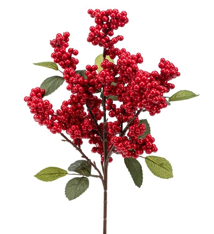 Red Cluster Berry Spray