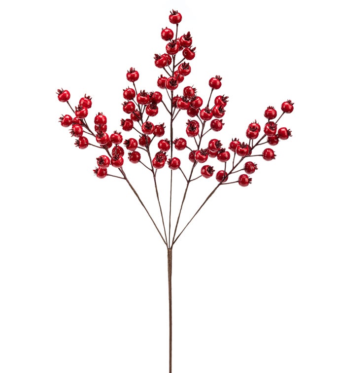 Red Berry Spray