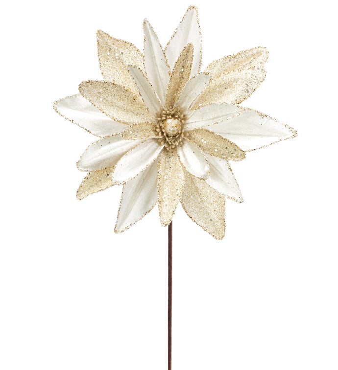 Ivory Glitter Poinsettia