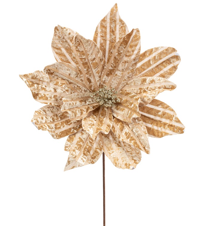 Champagne Glitter Velvet Poinsettia