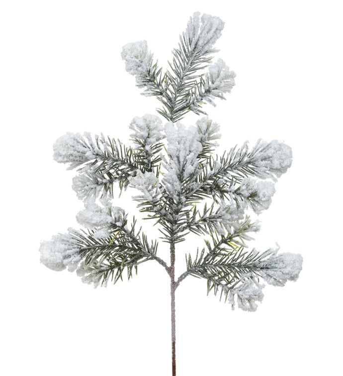 Snow Angel Pine Spray