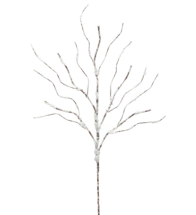 Snow Branch
