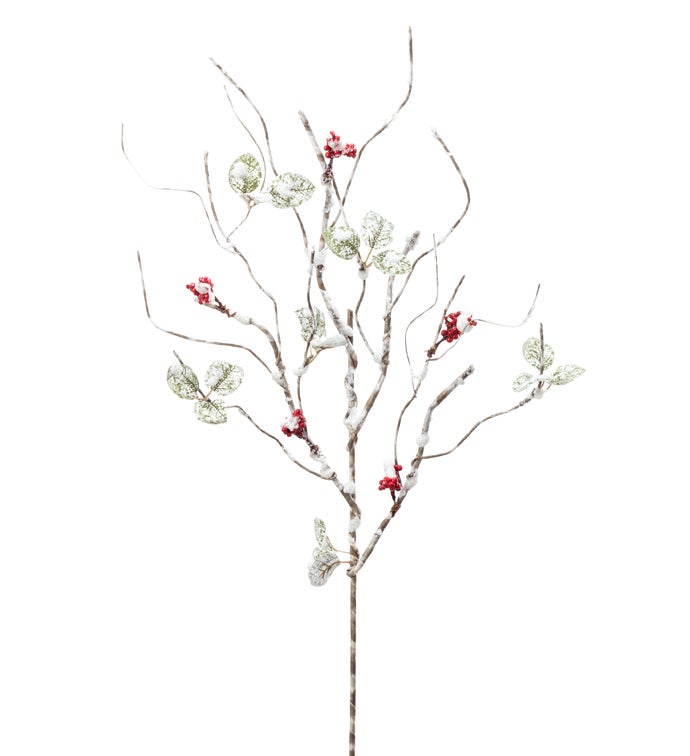 Red Berry Leaf Branch