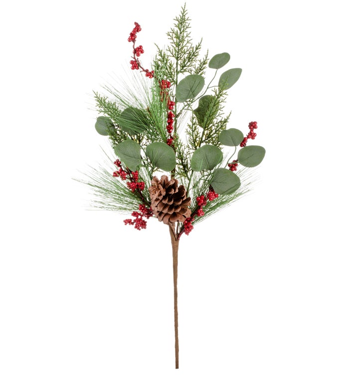 Mix Pine/Eucalyptus Berry Cone Spray