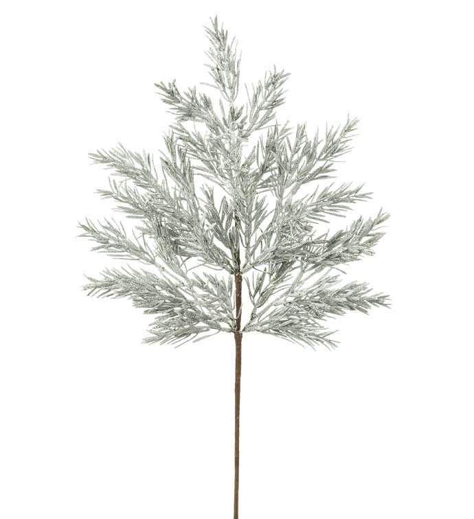Frosted Pine Spray