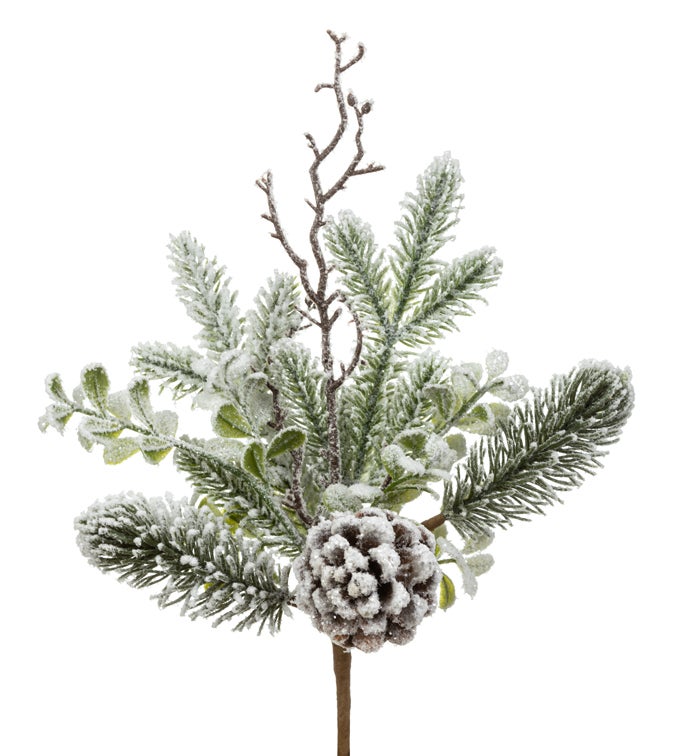 Snow Pine/Eucalyptus Cone Pick