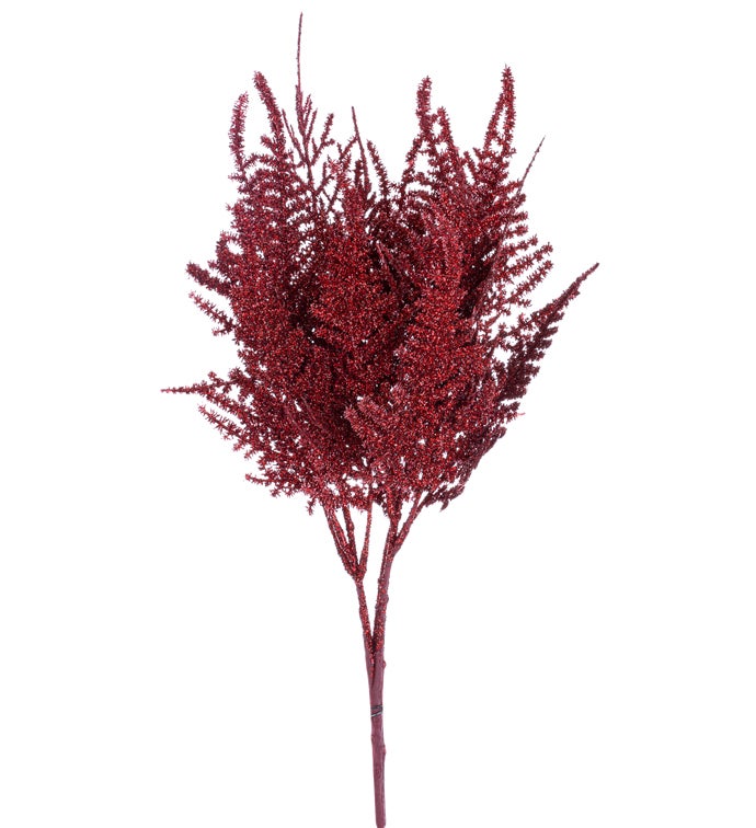 Red Fern Bush