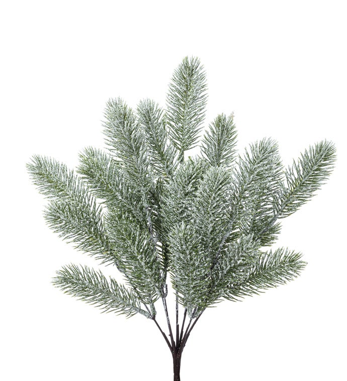 Frosted Spruce Pick