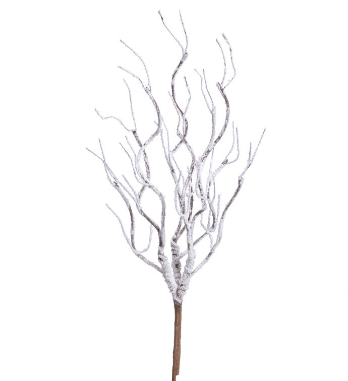 Snowy Twisted Branch Spray
