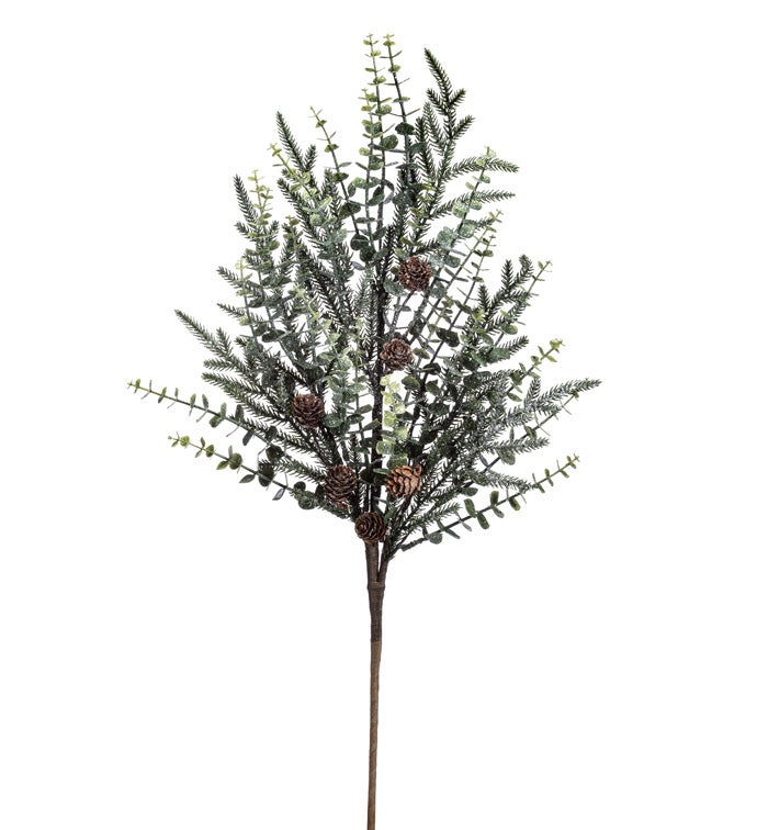 Eucalyptus Pine/Cone Spray