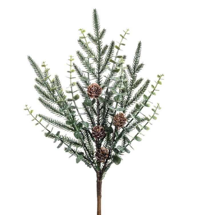 Eucalyptus Pine/Cone Pick