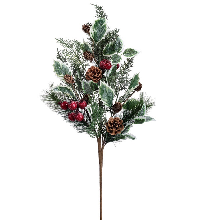 Pine/Cone Berry Variegated Leaves Spray