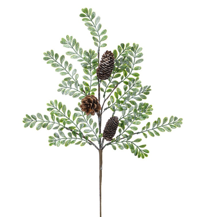 Boxwood Pine Cone Spray