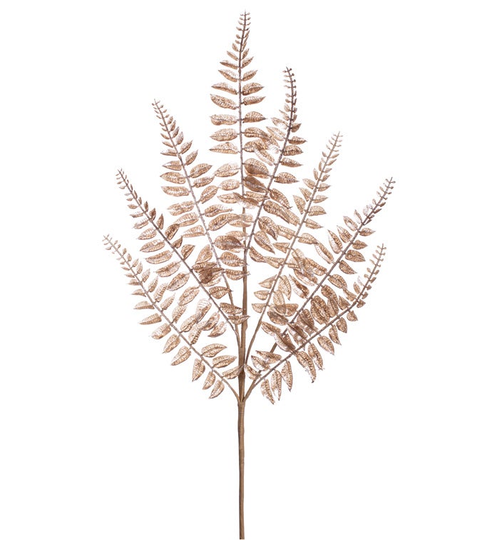 Pearl Fern Spray