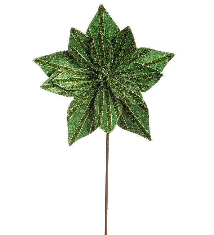 Green Glitter Stripe Poinsettia