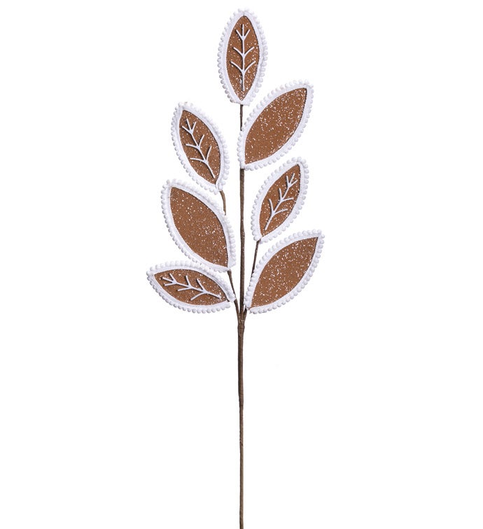 Brown White Edge Leaf Spray