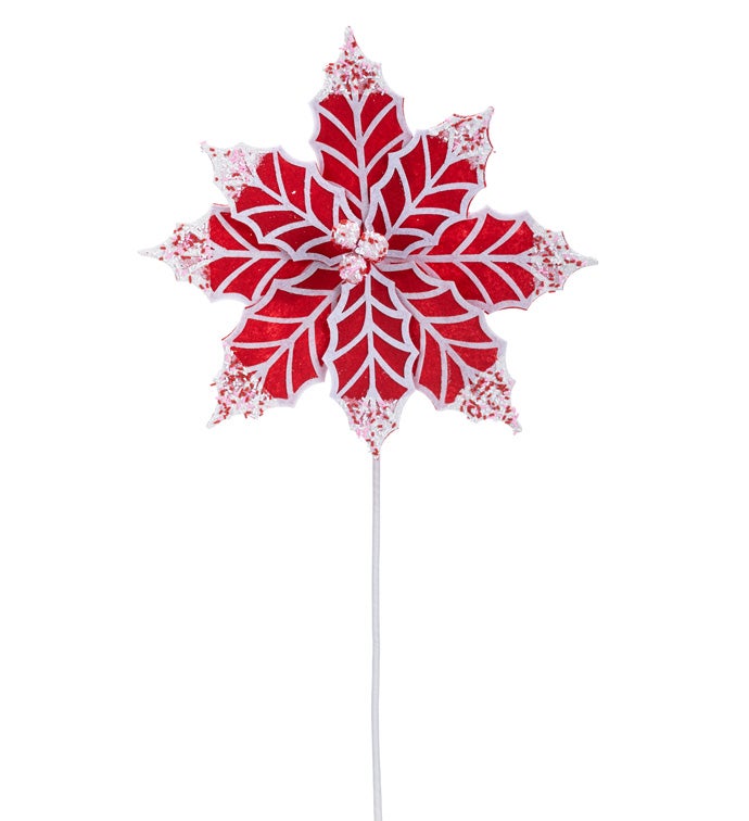 Glitter Tip Red/White Poinsettia