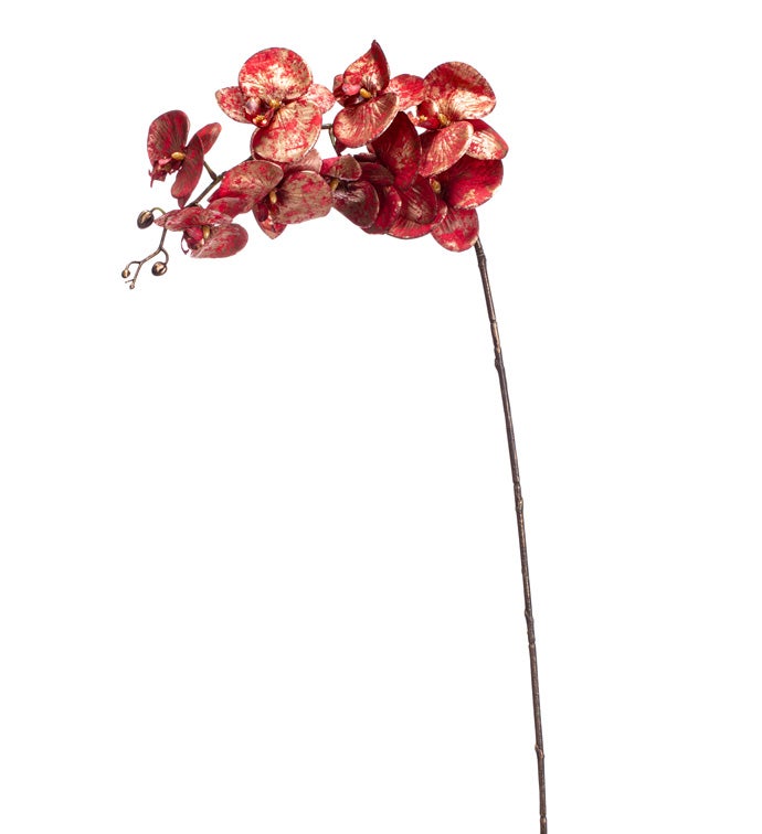 Red Metallic Orchid Spray