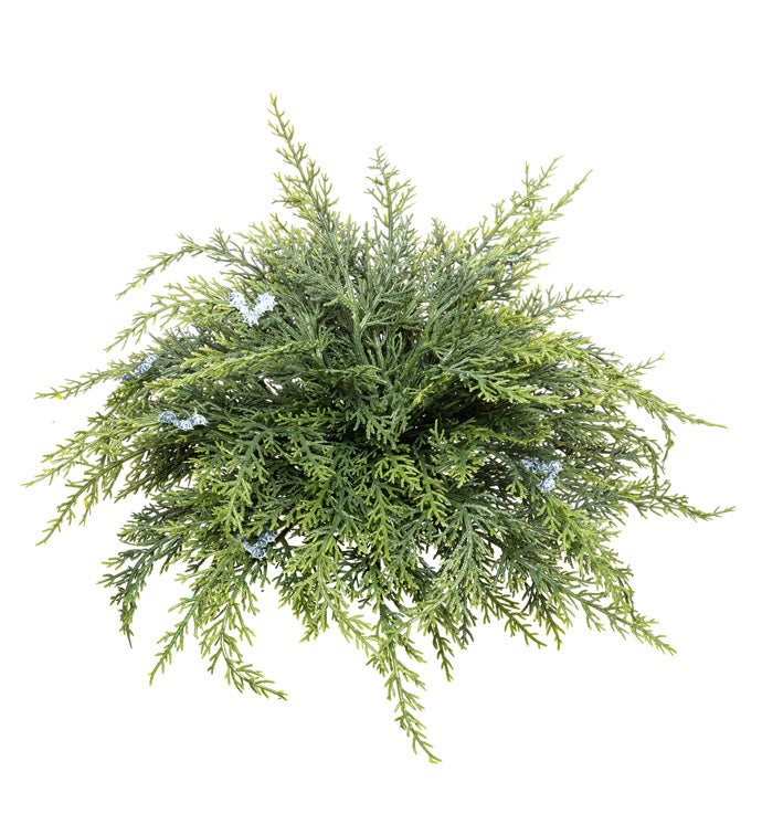Juniper Cypress Table Decor