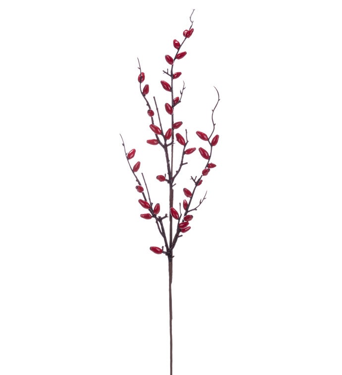 Red Oval Berry Spray