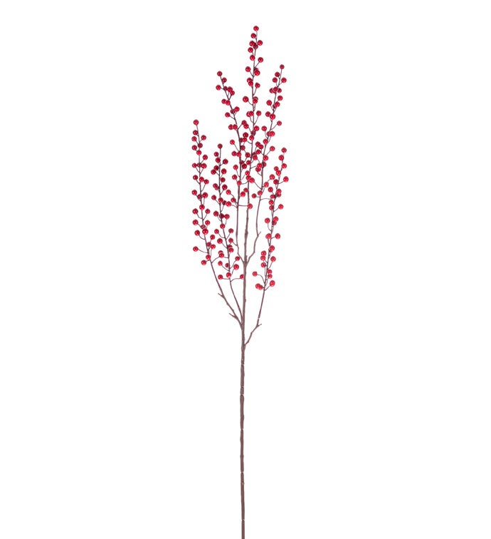 Red Berry Hanging Vine