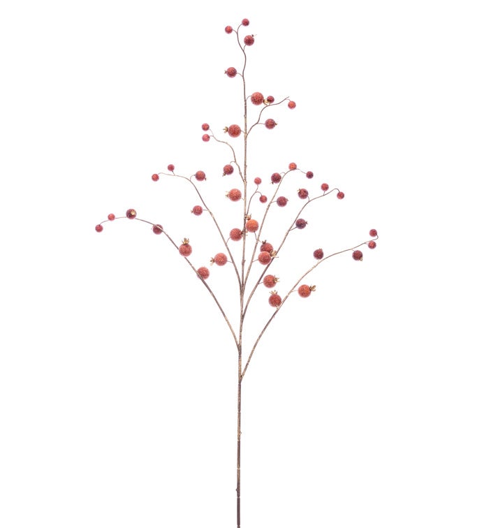 Apricot Iced Berry Spray