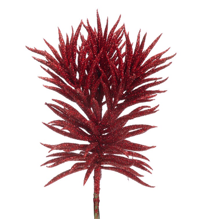 Red Glitter Spike Succulent
