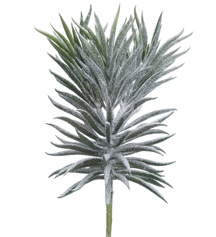 Dark Green Glitter Spike Succulent
