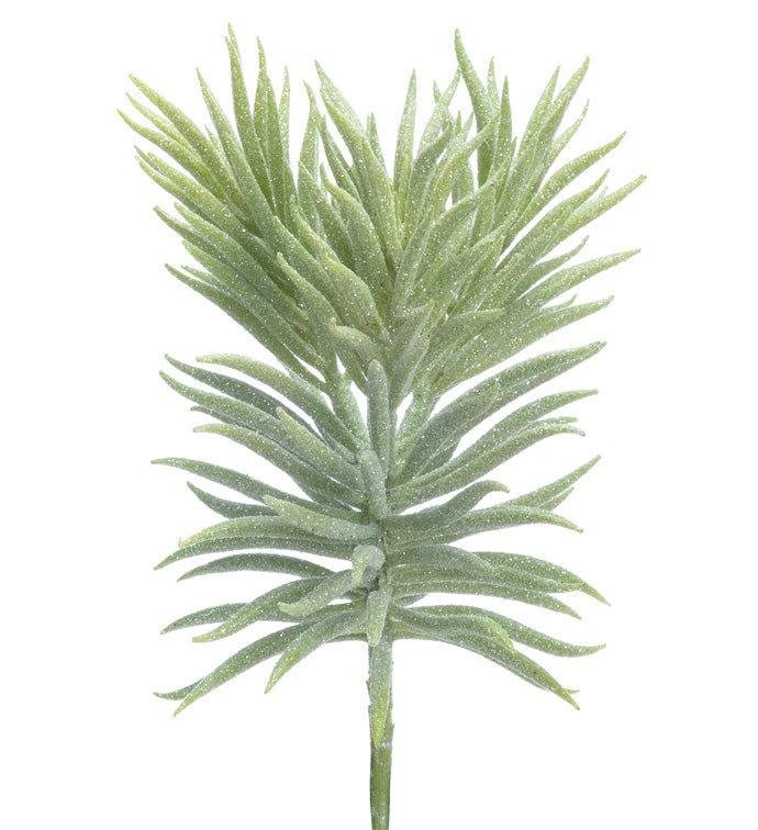 Light Green Glitter Spike Succulent