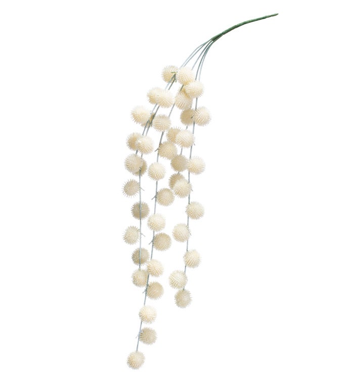 Thistle Ball Vine
