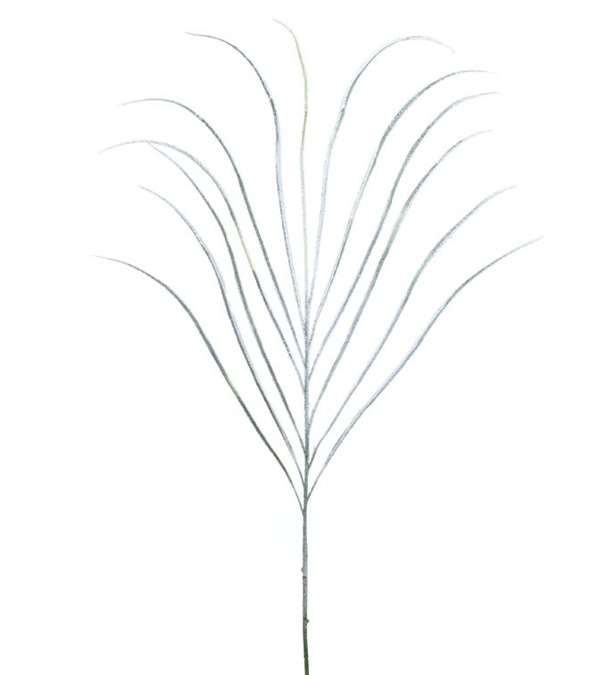 Snowy Dracena Spray