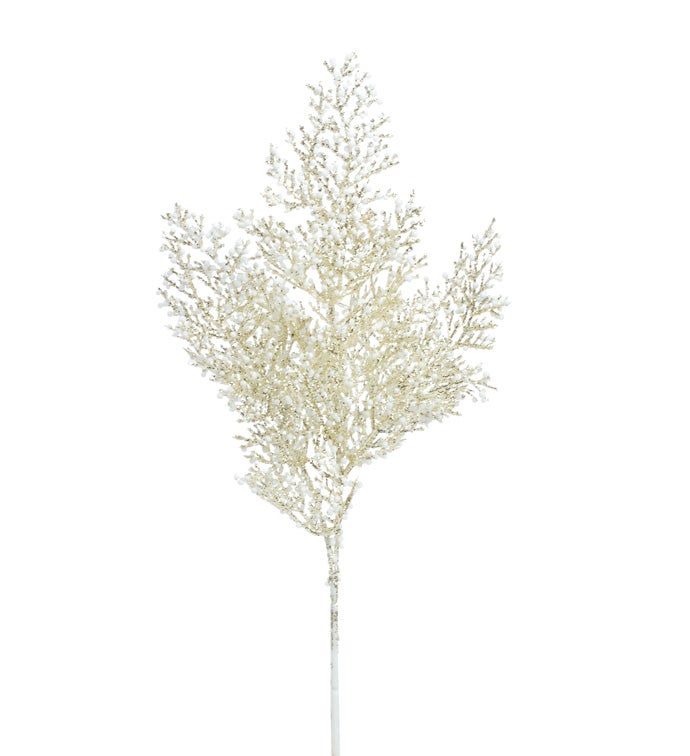 Bubble/Champagne Cedar Spray