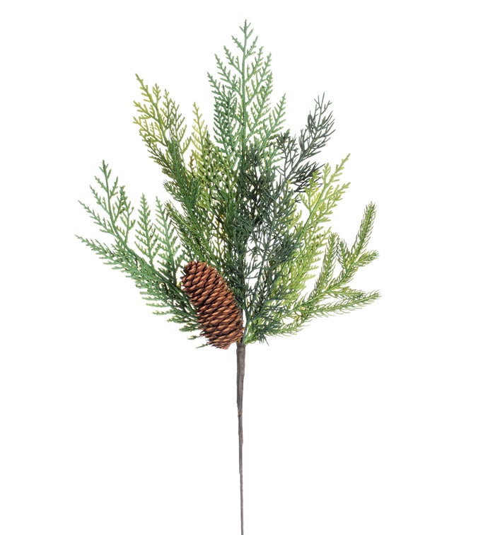 Cedar Pine Cone Spray