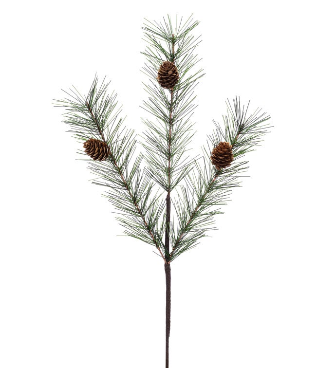 Pitch Pine Cone Spray