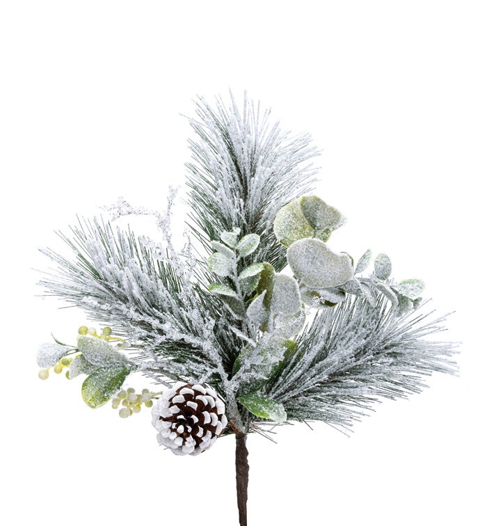 Snow Longleaf Pine/Cone Spray