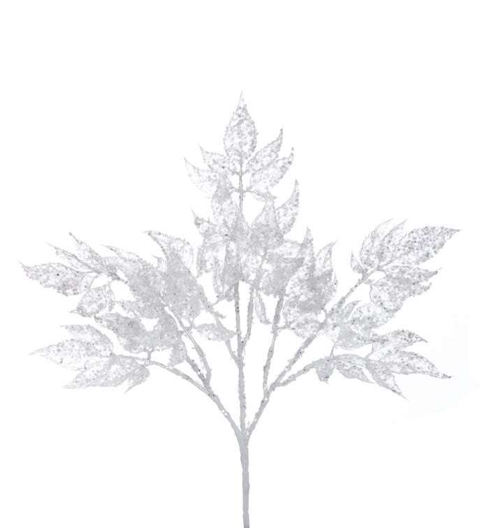 Astilbe Glitter Leaves Bush