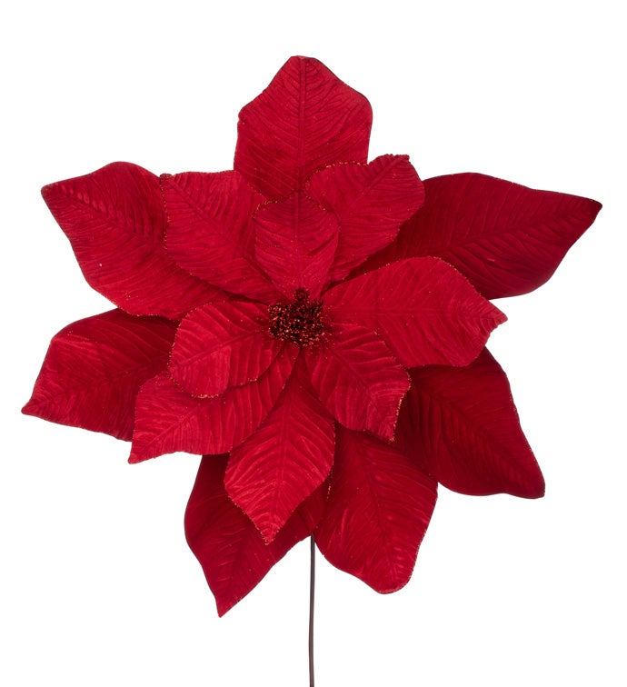 XLarge Velvet Poinsettia