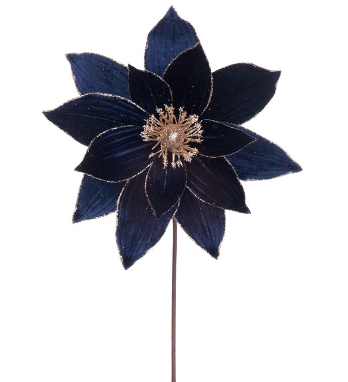 Dark Blue/Gold Poinsettia