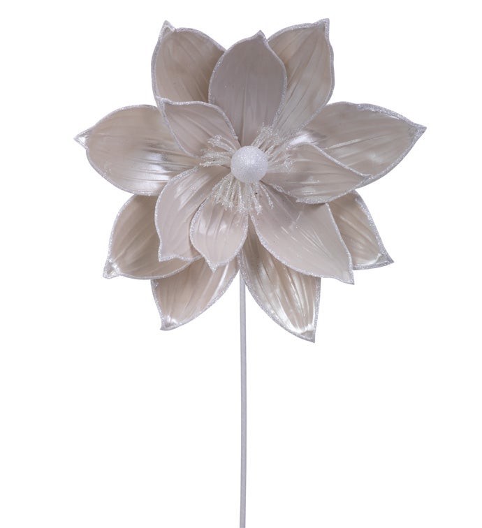 Shiny Pearl Poinsettia