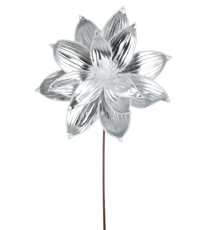 Shiny Silver Poinsettia