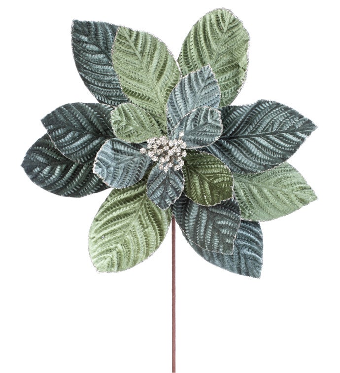 2-Tone Sage Green Poinesettia