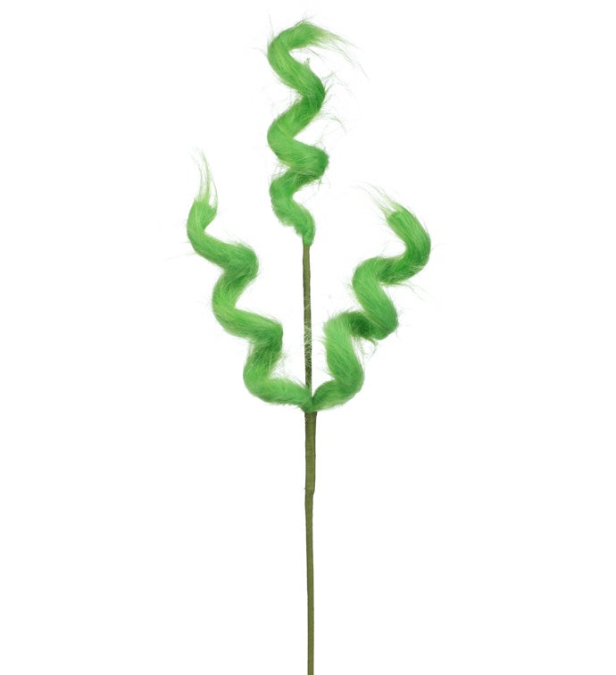 Bright Green Curled Spray