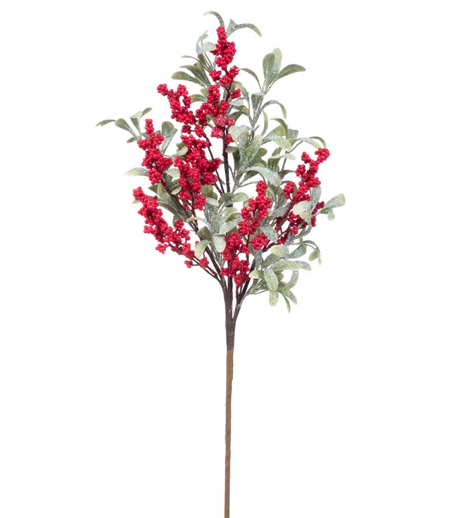 Red Cluster Berry Leaves Spray