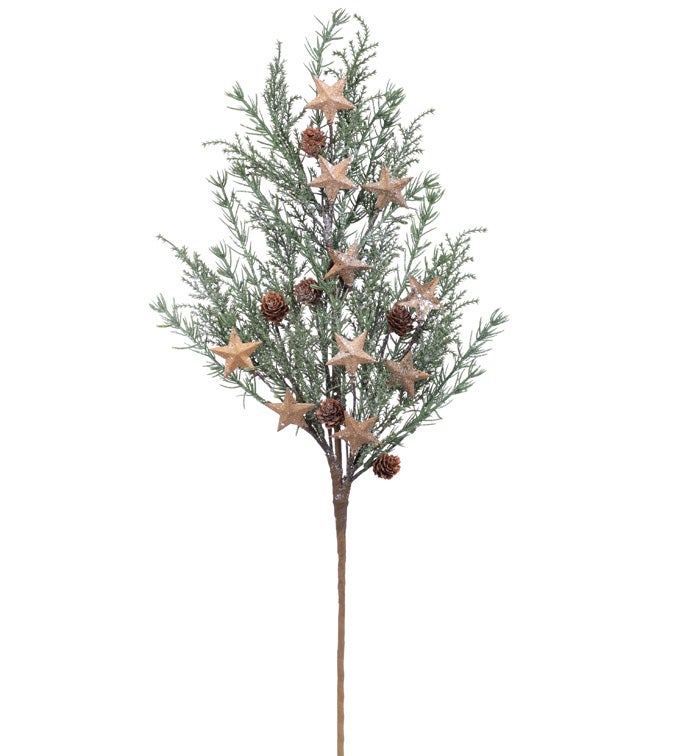 Gold Star/Cone Pine Spray