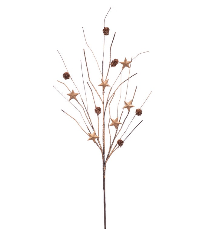 Gold Star Cone Twig Spray