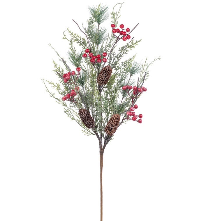 Ice Berry Cypress/Cone Spray