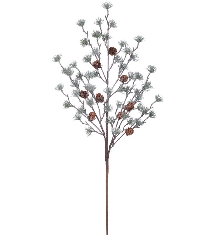 Short Leaf Pine/Cone Spray