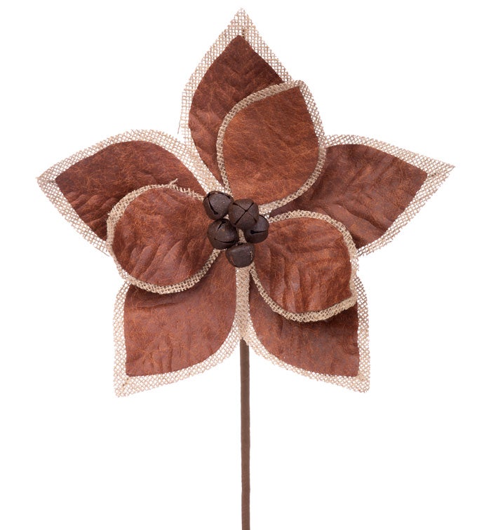Brown Beige Edge Poinsettia